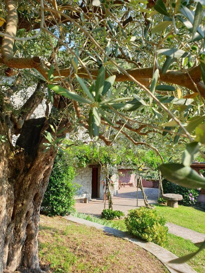 Villa D'Epoca Le Capele Gratacasolo 外观 照片