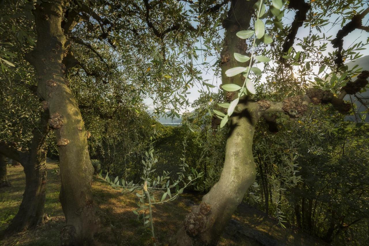 Villa D'Epoca Le Capele Gratacasolo 外观 照片